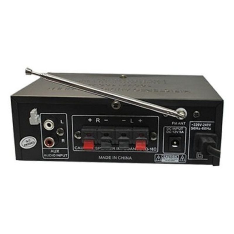 Amplificatore stereo microfono due ingressi USB karaoke radio FM AUX musica
