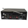 Amplificatore stereo microfono due ingressi USB karaoke radio FM AUX musica