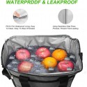 Borsa Termica 15L Sacca Frigo Per Lavoro Campeggio Per Tenere Caldo o Freddo