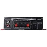 Amplificatore stereo microfono due ingressi USB karaoke radio FM AUX musica