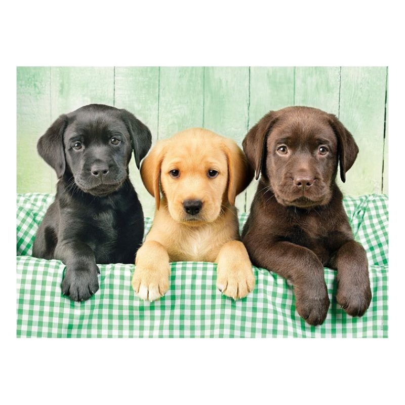 Clementoni Puzzle Clementoni - 1000 pezzi - Tre cani Labrador picco...
