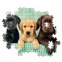 Puzzle Clementoni - 1000 pezzi - Tre cani Labrador piccoli cuccioli 69x50 cm