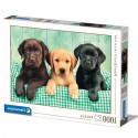 Puzzle Clementoni - 1000 pezzi - Tre cani Labrador piccoli cuccioli 69x50 cm