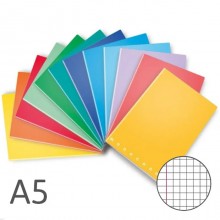 Quaderno 10 PZ formato A5 Rigatura Quadretti 0Q 42 fogli Pigna colori assortiti