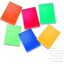 Mini Quaderni Monocromo Pigna 10pz a righe 1R Colori assortiti Formato A6