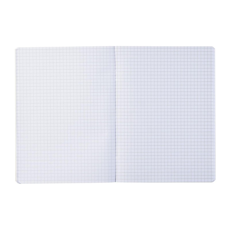 Pigna Set 10 mini Quaderni Formato A6, Rigatura 5M, Quadretti 5 mm ...