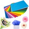 Harty 120 Fogli di carta velina colorata 50,8x66 cm imballaggio rie...
