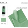 Harty 120 Fogli di carta velina colorata 50,8x66 cm imballaggio rie...