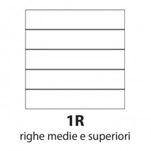 Quaderno A4 Cartonato 5 pezzi 60 Fg. da 80 gr. 1 rigo MONOCROMO PIGNA  colorati