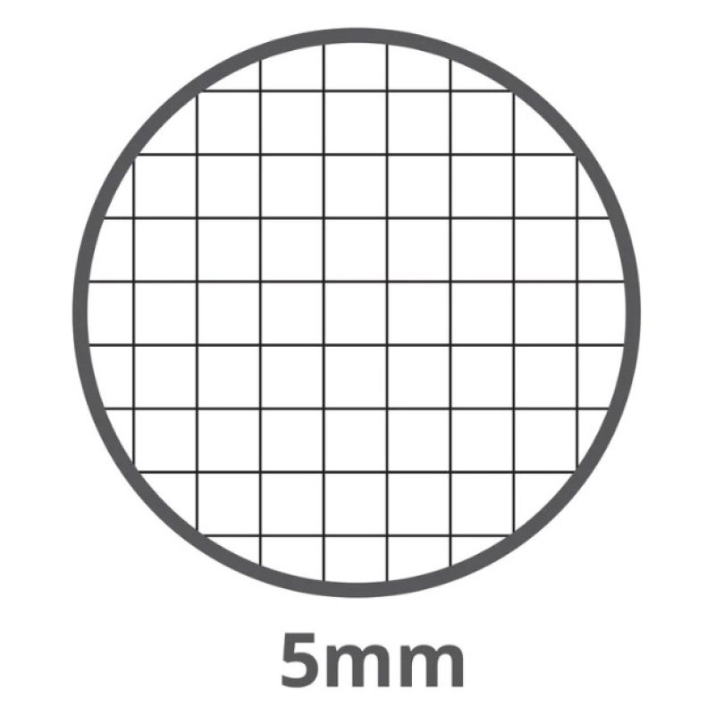 Pigna Quaderno A4 Cartonato 5 pezzi 60 Fg. da 80 gr. quadretti 5mm ...