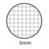 Pigna Quaderno A4 Cartonato 5 pezzi 60 Fg. da 80 gr. quadretti 5mm ...
