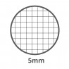 Pigna PIGNA Quaderni Cartonati A5 Conf 5 pz quadretti 5mm Monocromo...
