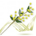 Festa della donna Mazzolino di mimosa 12pz rametto artificiale fiore lanoso 25CM