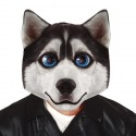 Maschera da cane Husky travestimento da animale gigante carnevale festa  40cm
