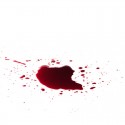 Sangue Finto in Bottiglia da trucco per Halloween e per Carnevale 450Ml make up