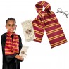 Rubie's Costume Harry Potter Occhiali sciarpa mappa Grifondoro Bamb...