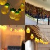 La bolata Catena luminosa led ad energia solare 10 Lampadine ananas...