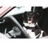 MAFRA MAFRA pulitore plastiche deterge auto odor stop antidepositan...