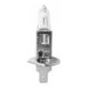 Sparco Lampadine auto H1 Long Life Sparco 12V 55W omologate 3000K L...
