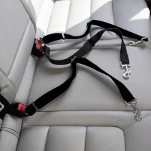 Cintura di sicurezza per cane guinzaglio regolabile auto universale collare nero