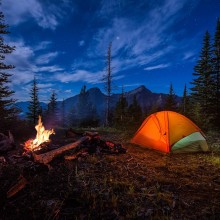 Picchetto a V 23 cm per Tenda in robusto metallo campeggio picchetti 24 PEZZI