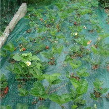 Rete Protettiva Protezione Anti Uccelli Piccioni 2PZ Giardino Piante Orto 4x10m