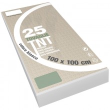 100x100 Tovaglie colorate in tnt Tessuto non tessuto 25 PZ feste ristoranti pub