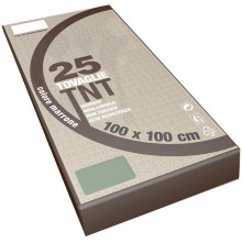 100x100 Tovaglie colorate in tnt Tessuto non tessuto 25 PZ feste ristoranti pub