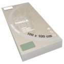 100x100 Tovaglie colorate in tnt Tessuto non tessuto 25 PZ feste ristoranti pub