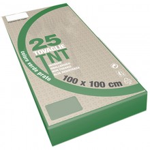 100x100 Tovaglie colorate in tnt Tessuto non tessuto 25 PZ feste ristoranti pub