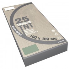 100x100 Tovaglie colorate in tnt Tessuto non tessuto 25 PZ feste ristoranti pub