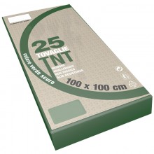 100x100 Tovaglie colorate in tnt Tessuto non tessuto 25 PZ feste ristoranti pub