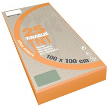 100x100 Tovaglie colorate in tnt Tessuto non tessuto 25 PZ feste ristoranti pub