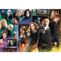 Puzzle 1000 Pezzi Harry Potter Hogwarts 68x48 cm Alta Qualità Ron-Hermione-Harry