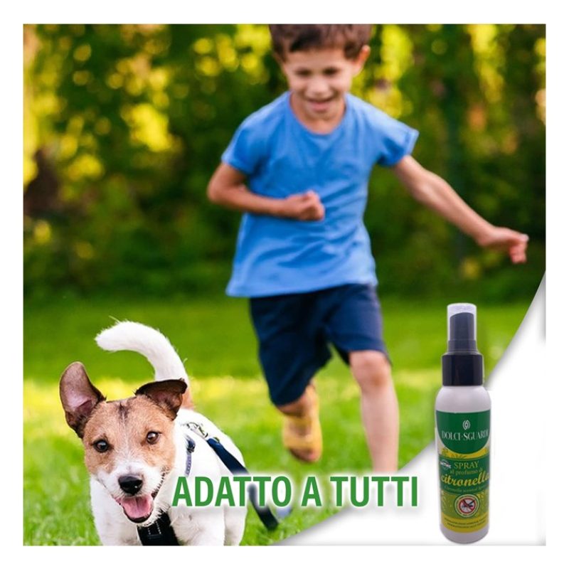 Set 24 pz Acqua Profumata Spray Alla Citronella Anti Zanzare 100ml ...