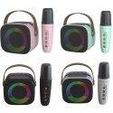 Cassa Speaker Bluetooth Karaoke 1 Microfono Portatile Ricaricabile USB RGB