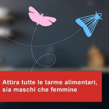 Vape Antitarme Alimentari Trappole Adesive 2PZ Dispensa Protezione per Alimenti