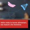 Vape Vape Antitarme Alimentari Trappole Adesive 2PZ Dispensa Protez...