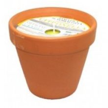 Officine candle Set 48 Pezzi Candela Citronella in Vasetto di Terra...