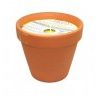 Officine candle Set 48 Pezzi Candela Citronella in Vasetto di Terra...