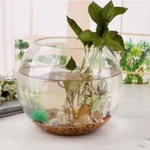 Ampolla Boccia In Vetro Trasparente Acquario Per Pesci Centrotavola diam 12 cm