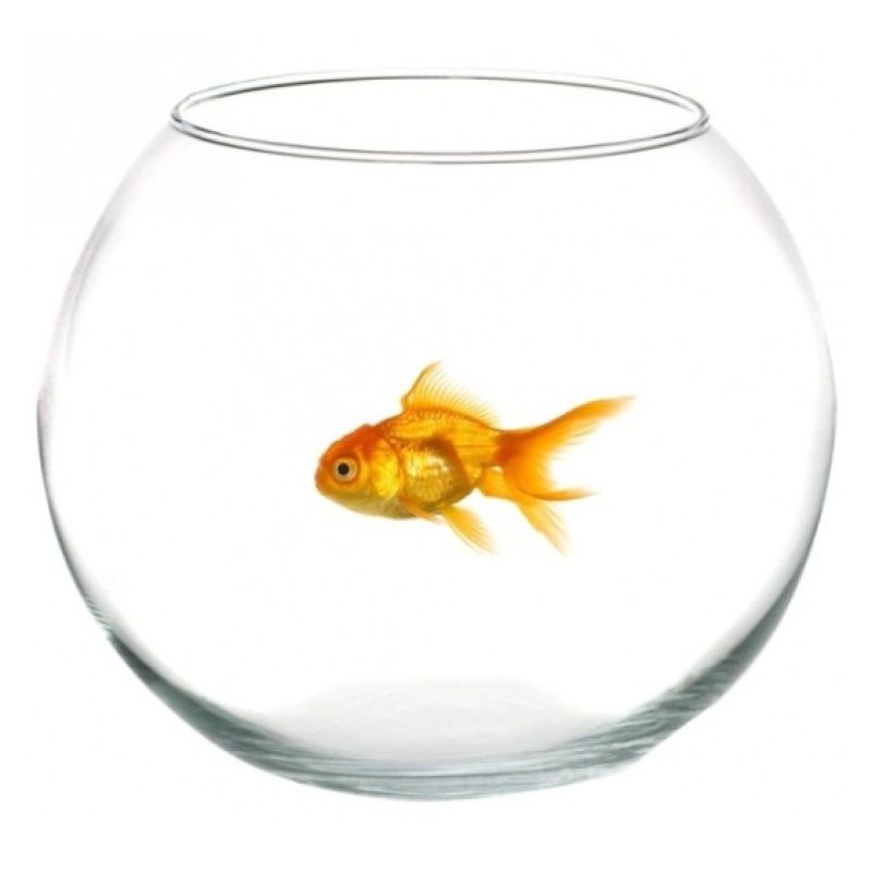 Cok Ampolla Boccia In Vetro Trasparente Acquario Per Pesci Centrota...