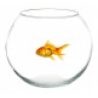 Cok Ampolla Boccia In Vetro Trasparente Acquario Per Pesci Centrota...