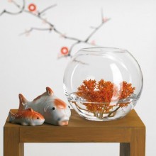 Ampolla Boccia In Vetro Trasparente 30 Cm Acquario Per Pesci Centrotavola