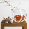 Cok Ampolla Boccia In Vetro Trasparente 30 Cm Acquario Per Pesci Ce...