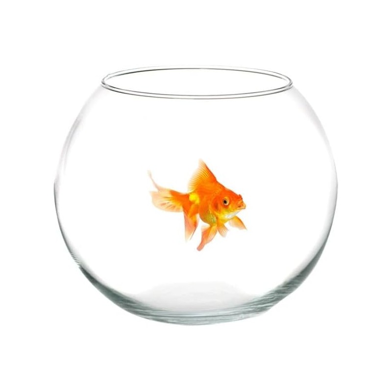 Ampolla Boccia In Vetro Trasparente 35 Cm Acquario Per Pesci Centrotavola