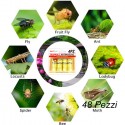Carta Moschicida Trappola Cattura Acchiappa le Mosche Acchiappamosche 48 Spirali