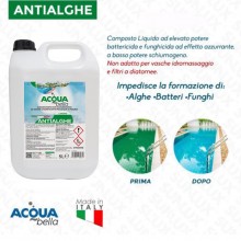 Antialghe concentrato Non Schiumogeno alghicida Piscina Anti alghe 5 Lt liquido