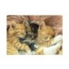 Globo Puzzle 1000 Pezzi animali cuccioli 68x48 cm Alta Qualità asso...