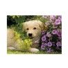 Globo Puzzle 1000 Pezzi animali cuccioli 68x48 cm Alta Qualità asso...